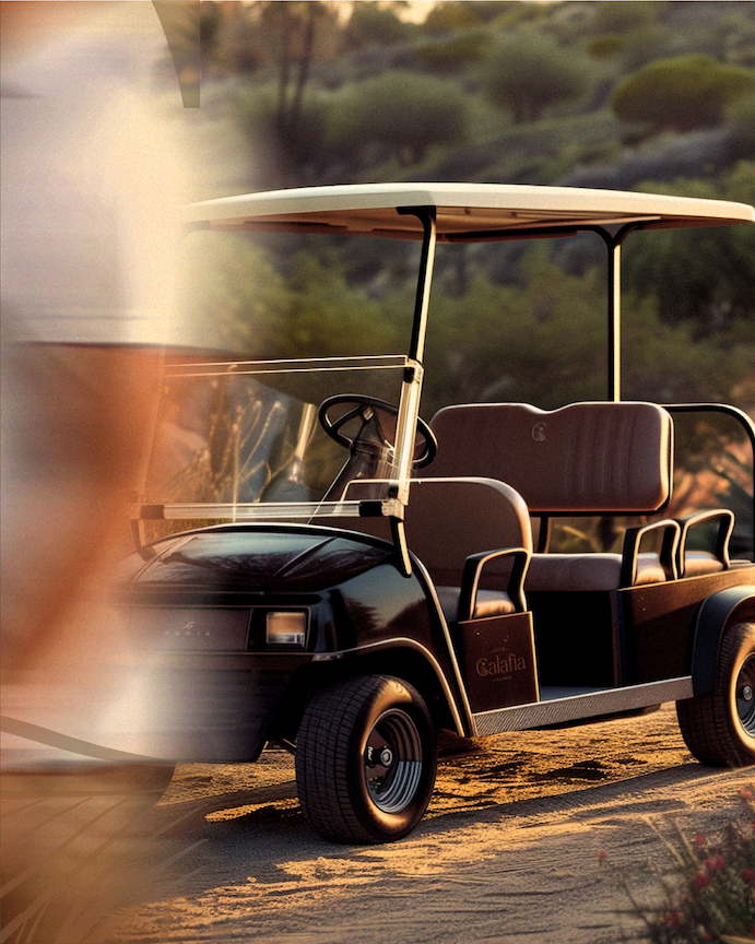 Club Calafia project image 6.