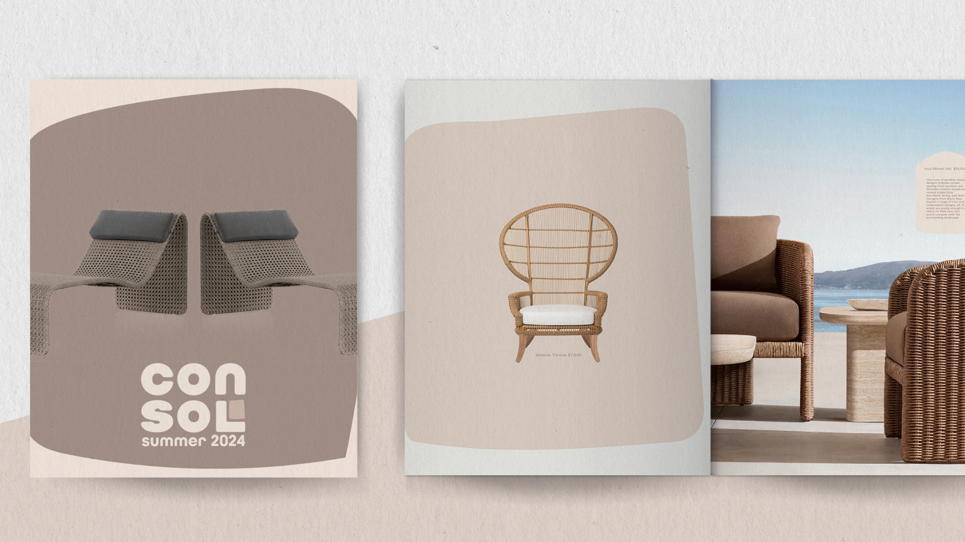 Consol project image 8.