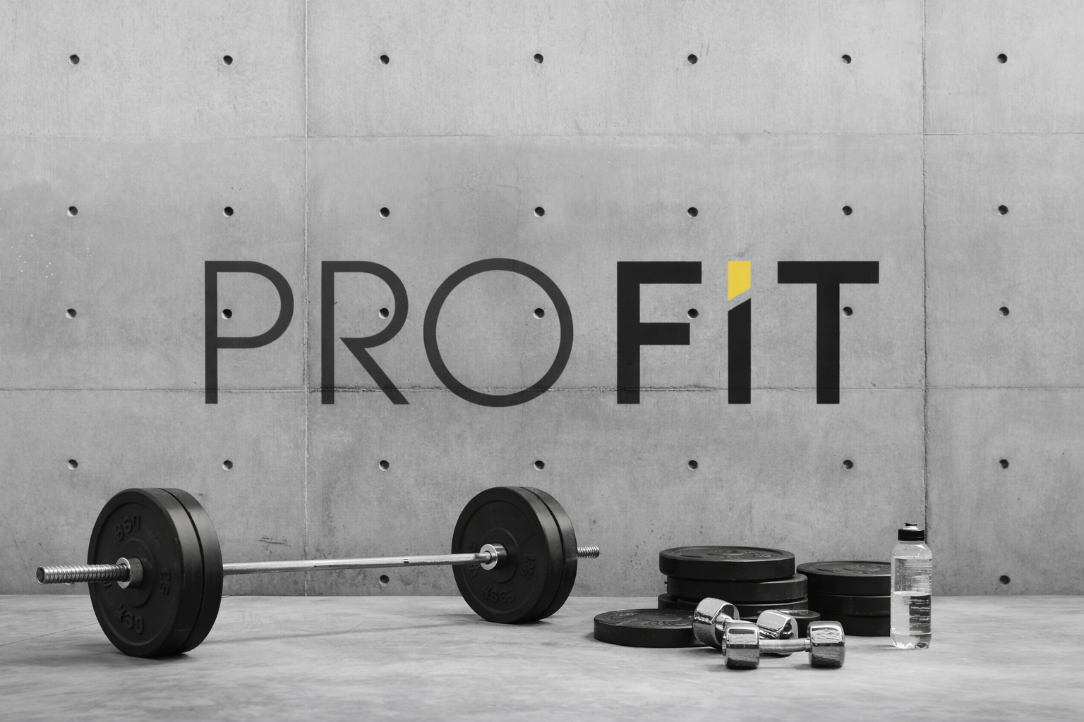 Pro-Fit project image 3.