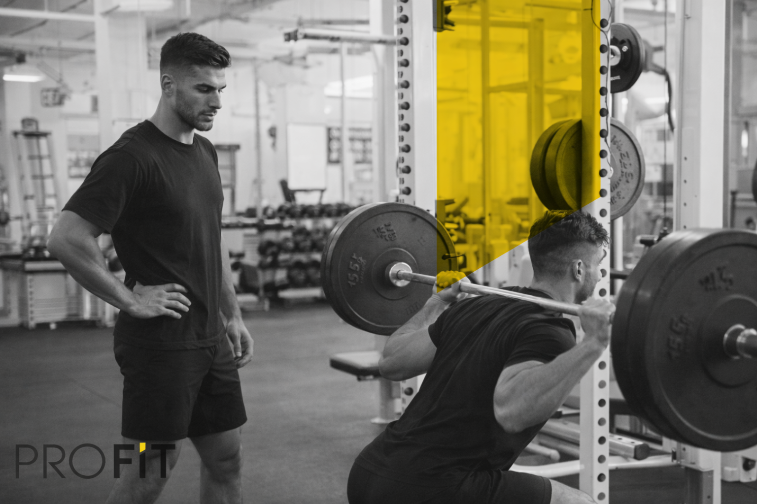 Pro-Fit project image 4.